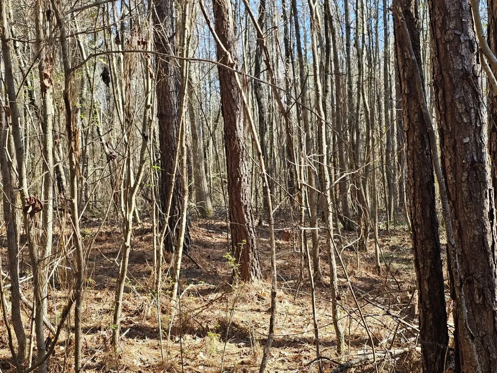 0 Sr 13 N Eldridge AL 35554