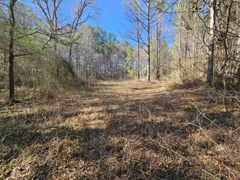 0 Sr 13 N Eldridge AL 35554