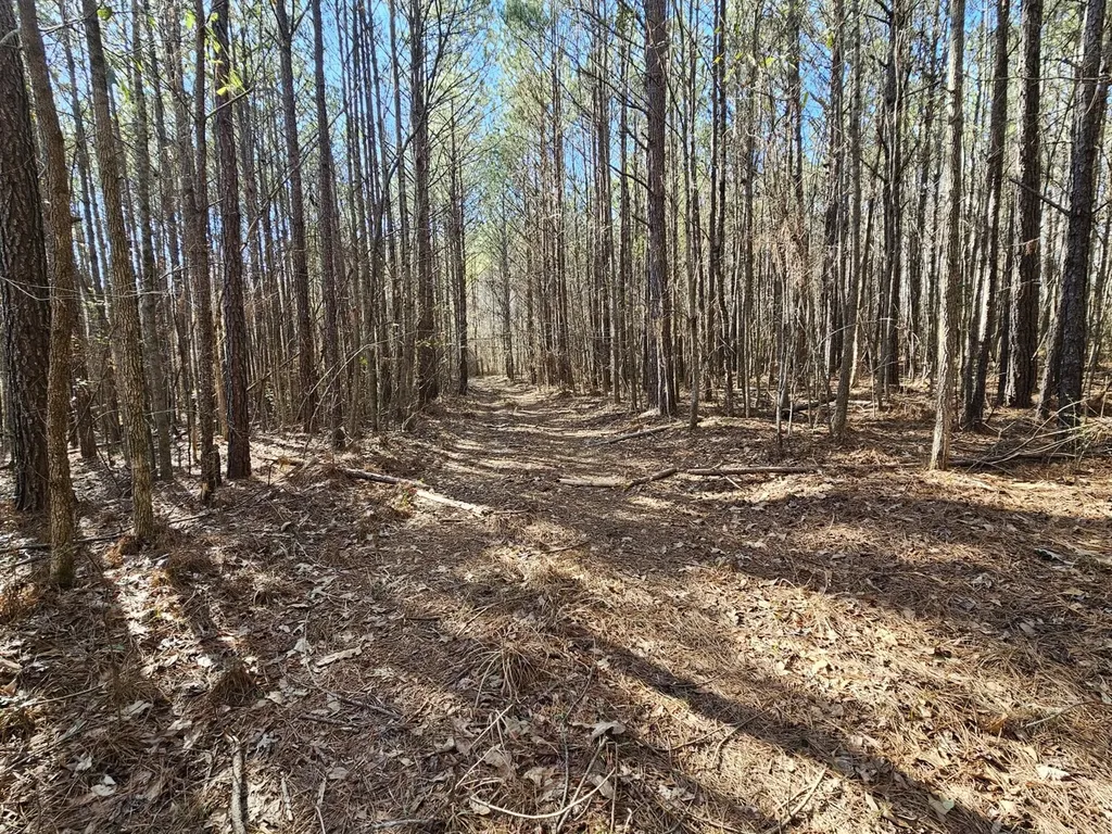 0 Sr 13 N Eldridge AL 35554