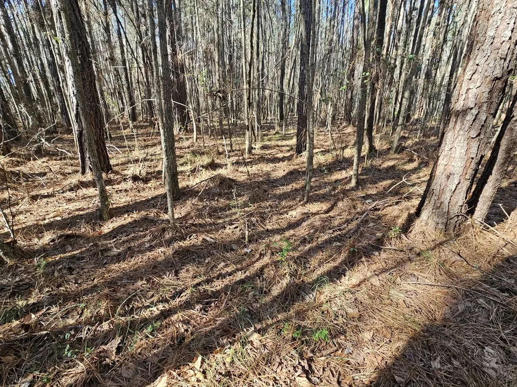 0 Sr 13 N Eldridge AL 35554