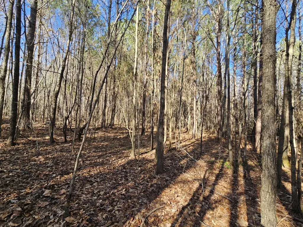 0 Sr 13 N Eldridge AL 35554