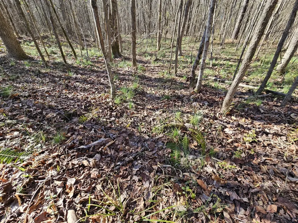 0 Sr 13 N Eldridge AL 35554