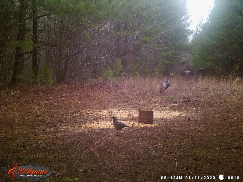 0 Sr 13 N Eldridge AL 35554