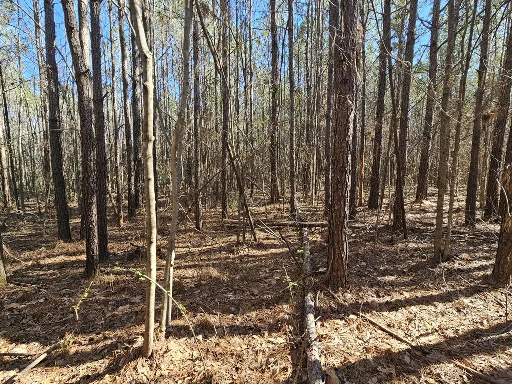 0 Sr 13 N Eldridge AL 35554