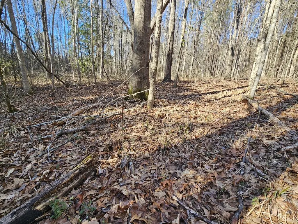 0 Sr 13 N Eldridge AL 35554