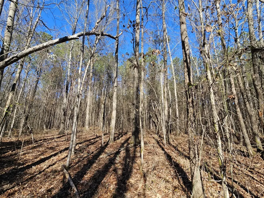 0 Sr 13 N Eldridge AL 35554