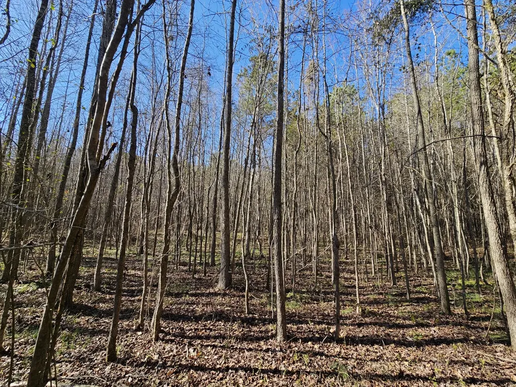 0 Sr 13 N Eldridge AL 35554