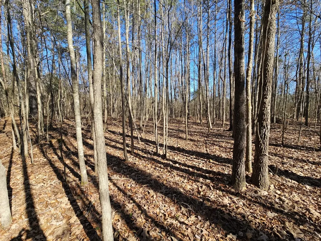 0 Sr 13 N Eldridge AL 35554