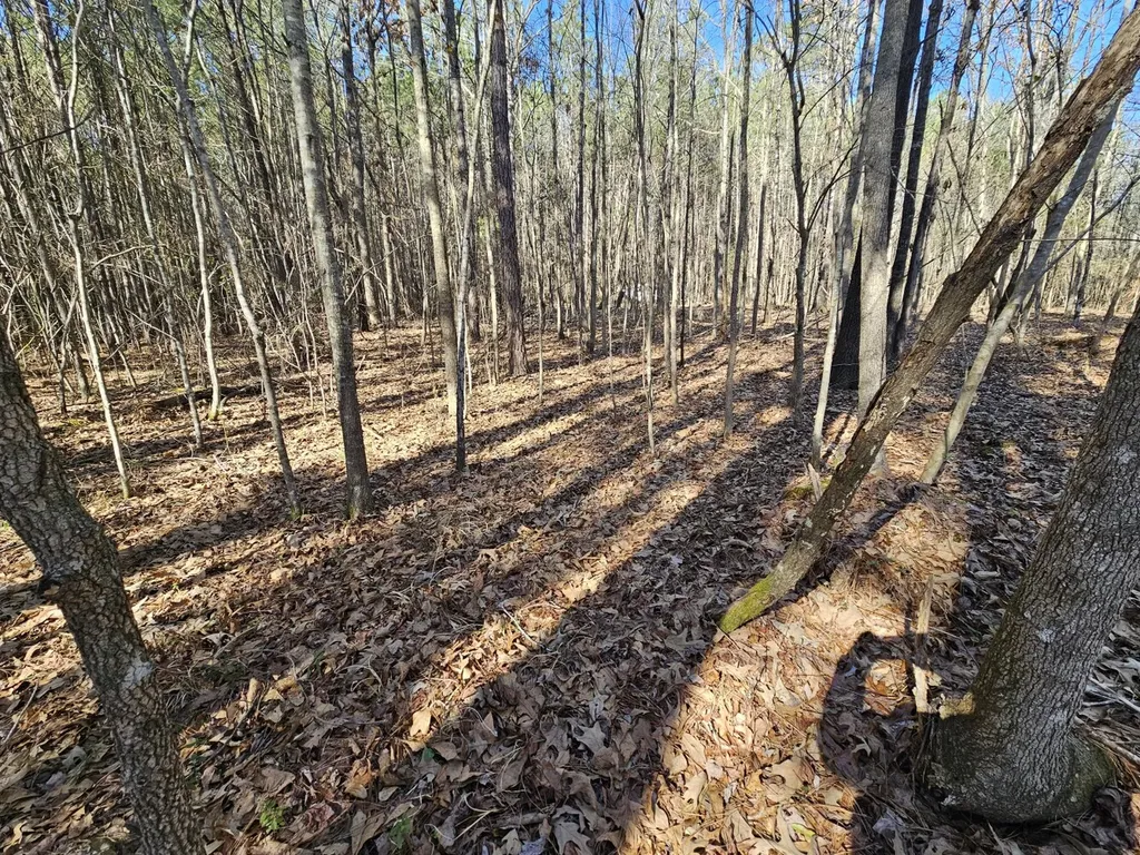 0 Sr 13 N Eldridge AL 35554