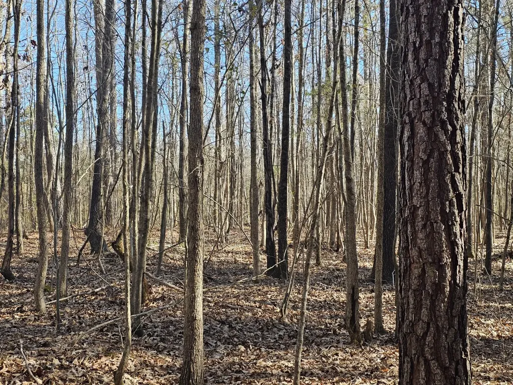 0 Sr 13 N Eldridge AL 35554