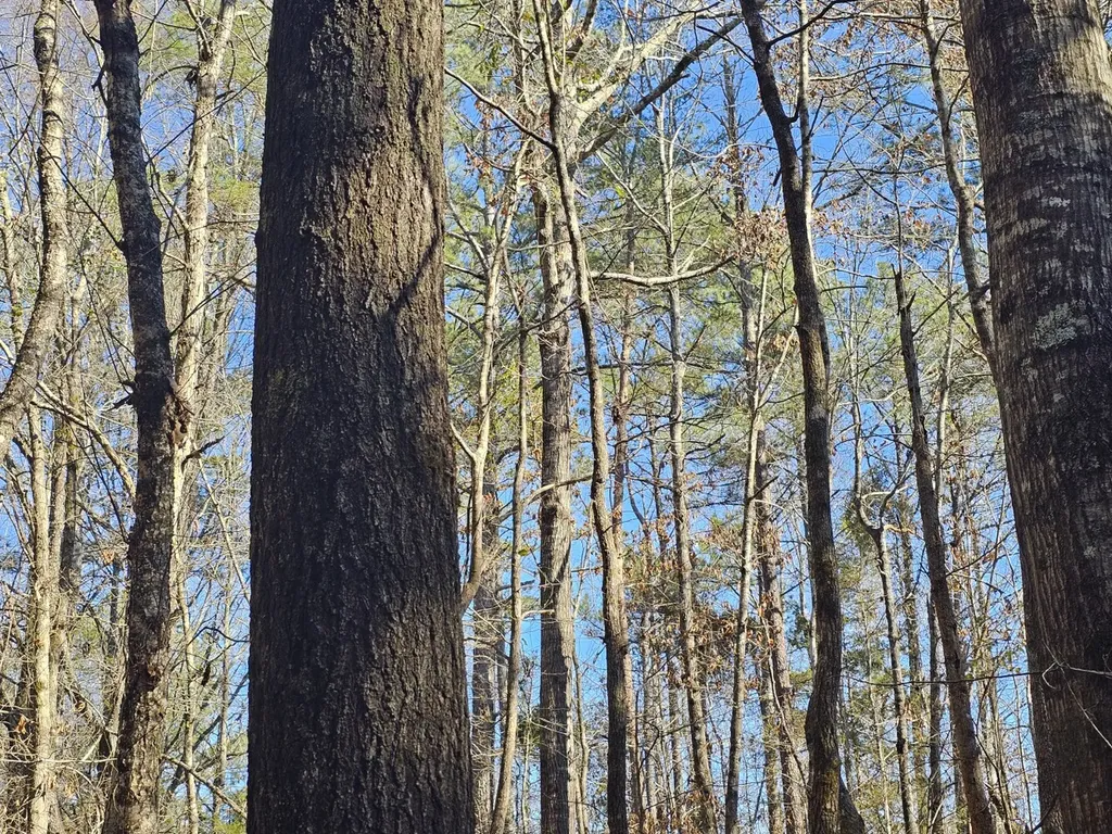 0 Sr 13 N Eldridge AL 35554