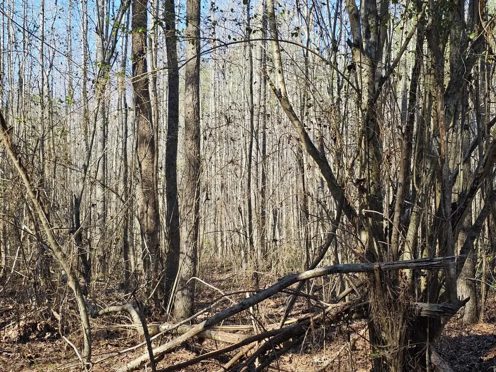 0 Sr 13 N Eldridge AL 35554