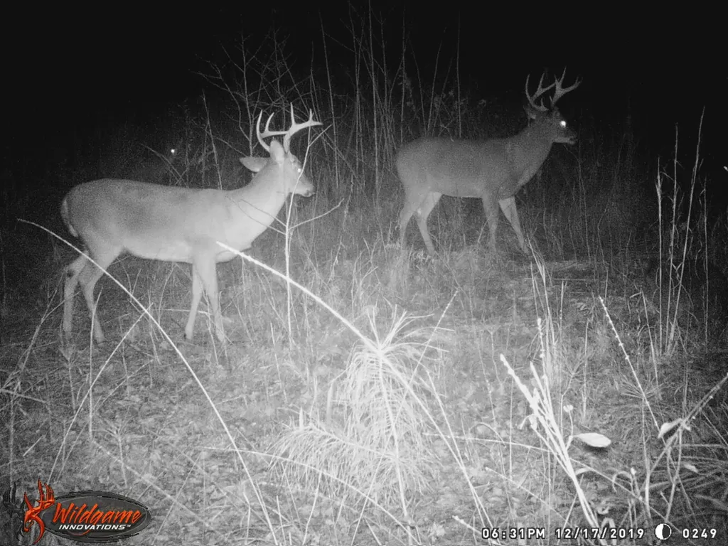 0 Sr 13 N Eldridge AL 35554