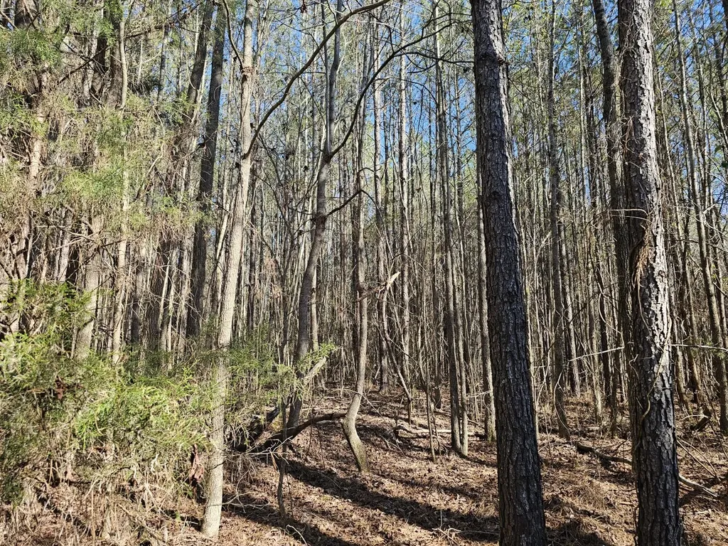 0 Sr 13 N Eldridge AL 35554