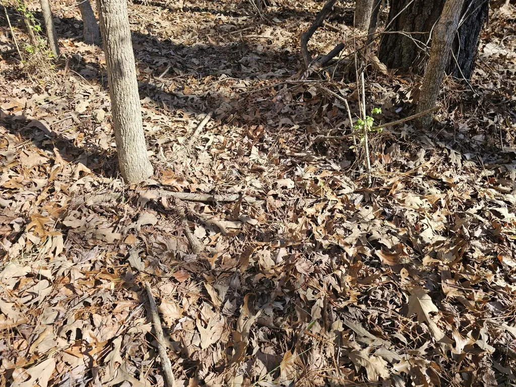 0 Sr 13 N Eldridge AL 35554