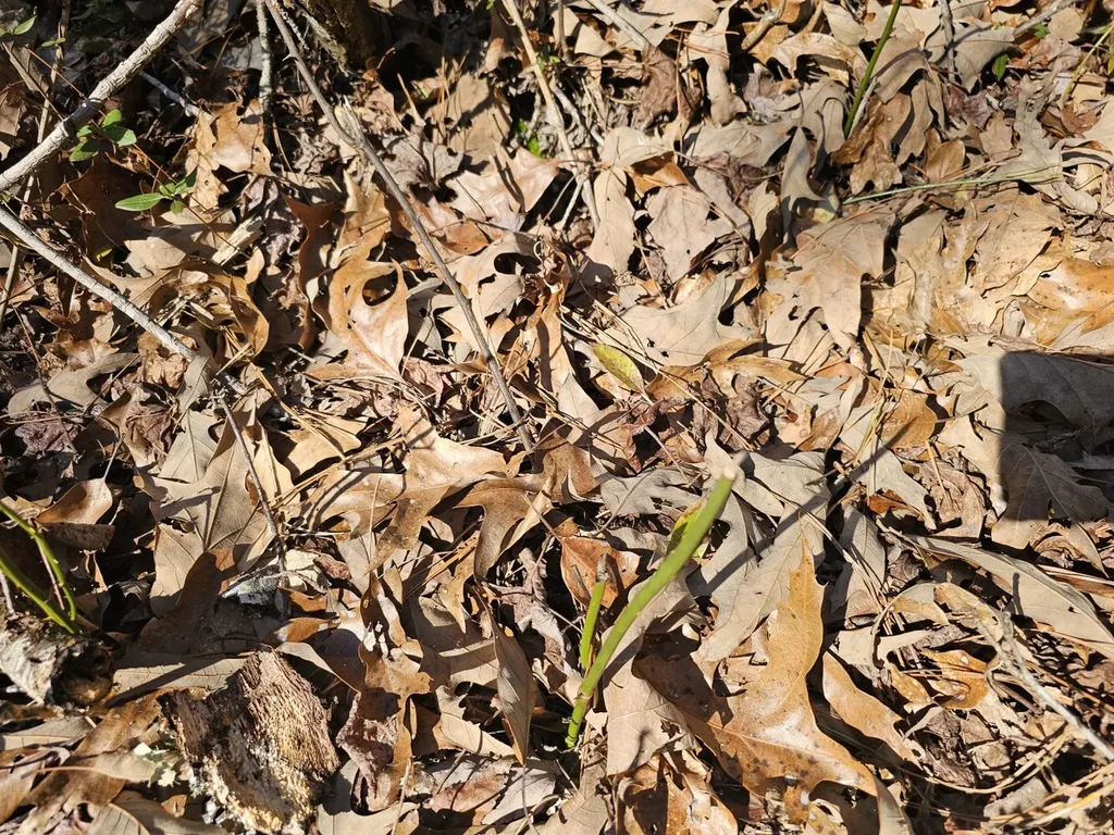 0 Sr 13 N Eldridge AL 35554