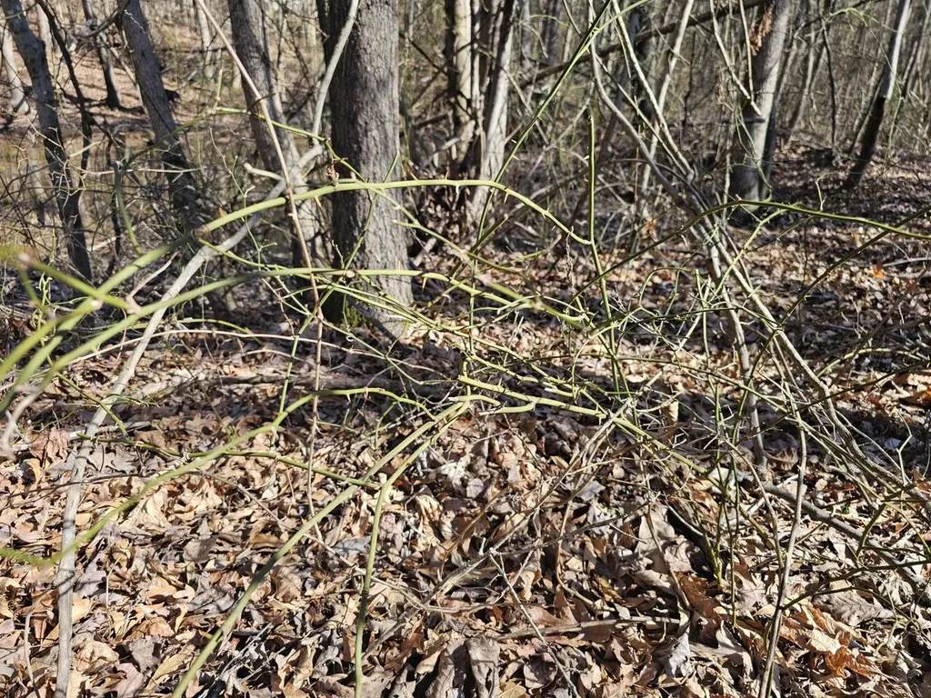 0 Sr 13 N Eldridge AL 35554