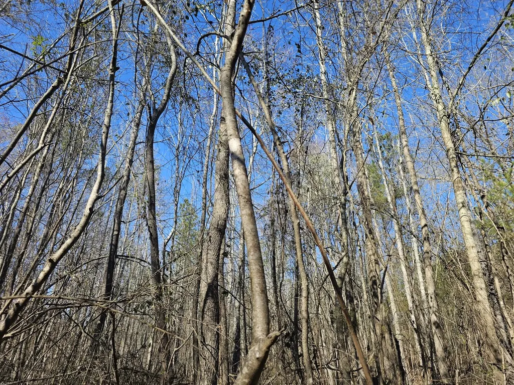 0 Sr 13 N Eldridge AL 35554