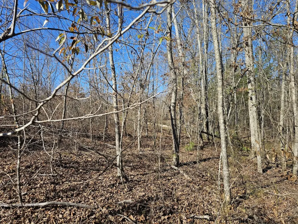 0 Sr 13 N Eldridge AL 35554