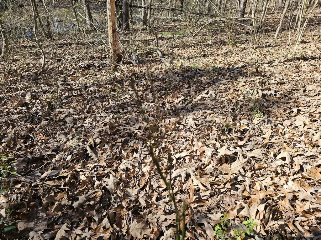 0 Sr 13 N Eldridge AL 35554