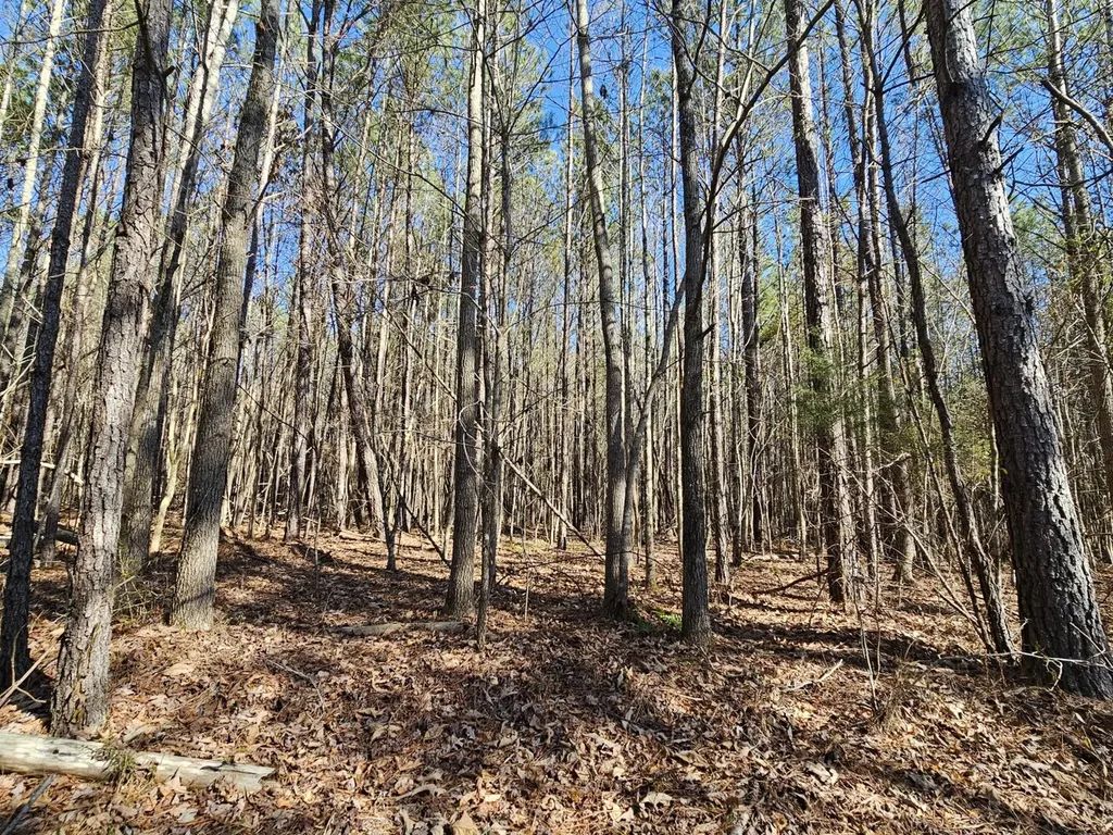 0 Sr 13 N Eldridge AL 35554