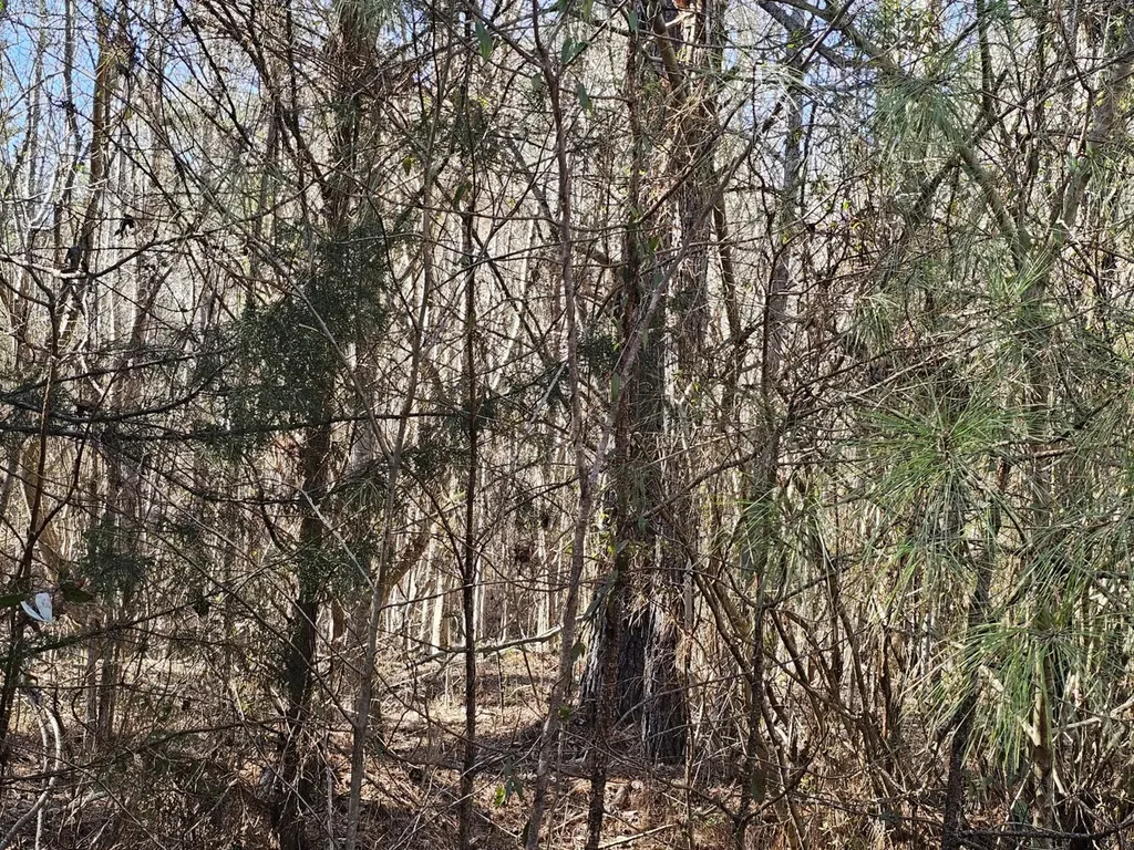 0 Sr 13 N Eldridge AL 35554