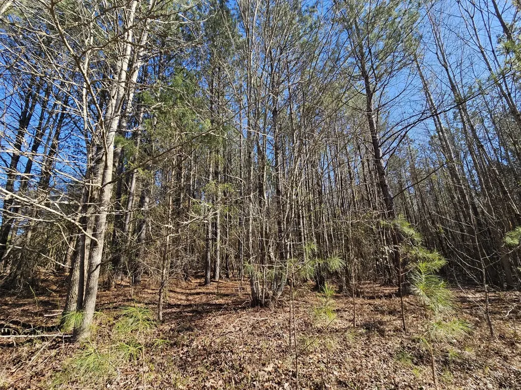 0 Sr 13 N Eldridge AL 35554