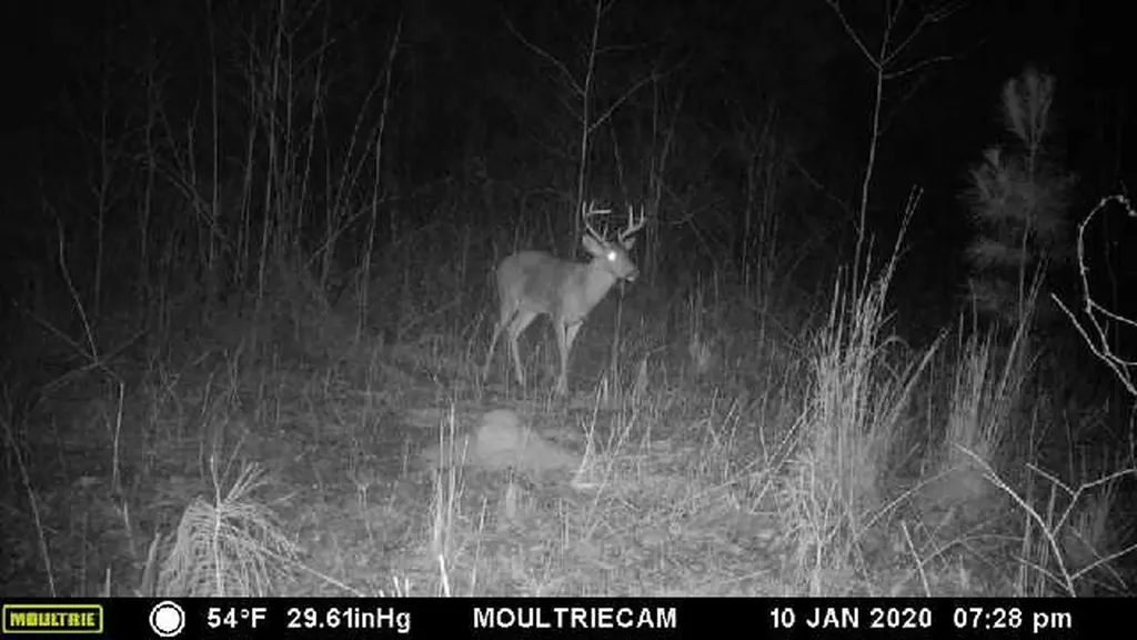 0 Sr 13 N Eldridge AL 35554