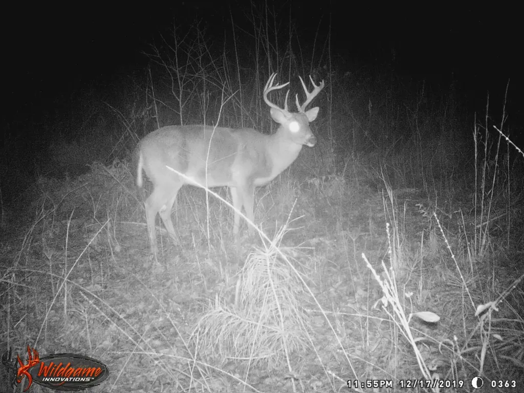 0 Sr 13 N Eldridge AL 35554