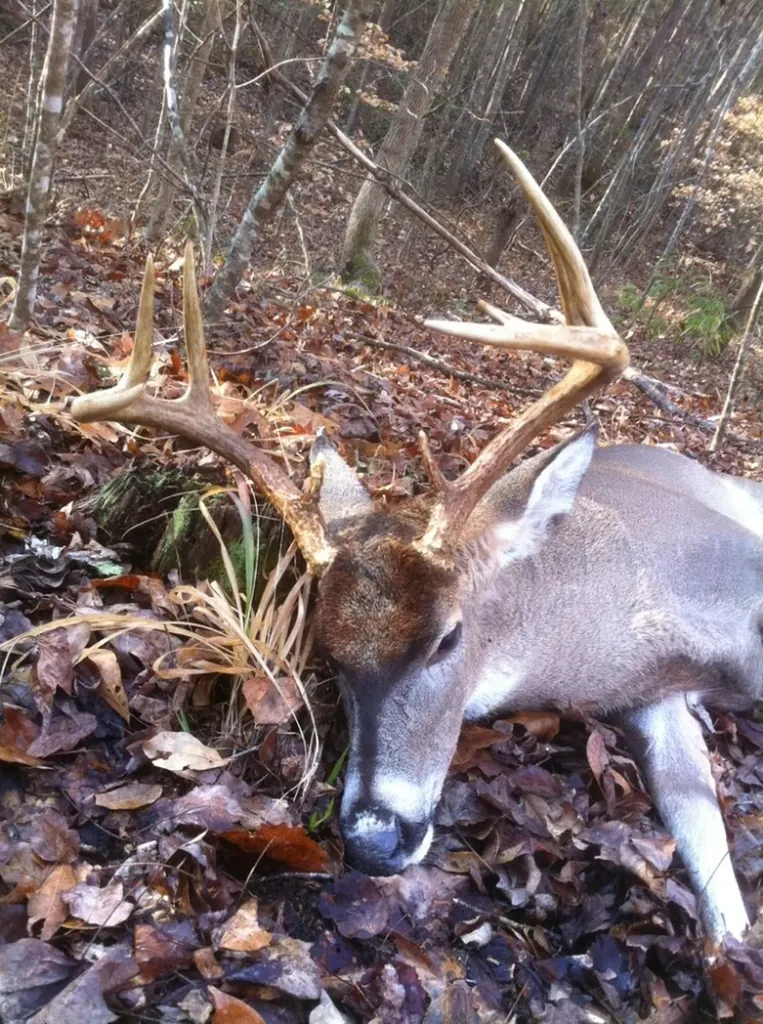 0 Sr 13 N Eldridge AL 35554