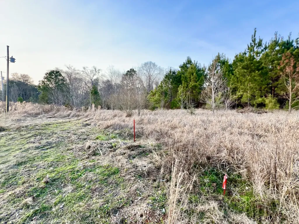 0 Odom Lane Chatom AL 36518