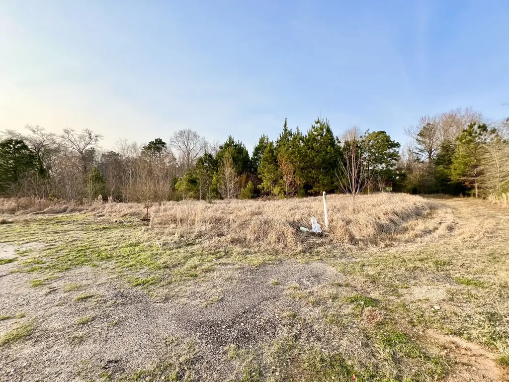 0 Odom Lane Chatom AL 36518