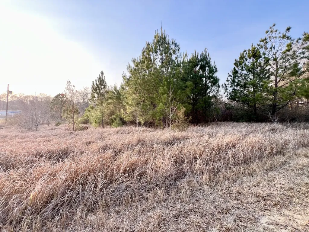 0 Odom Lane Chatom AL 36518