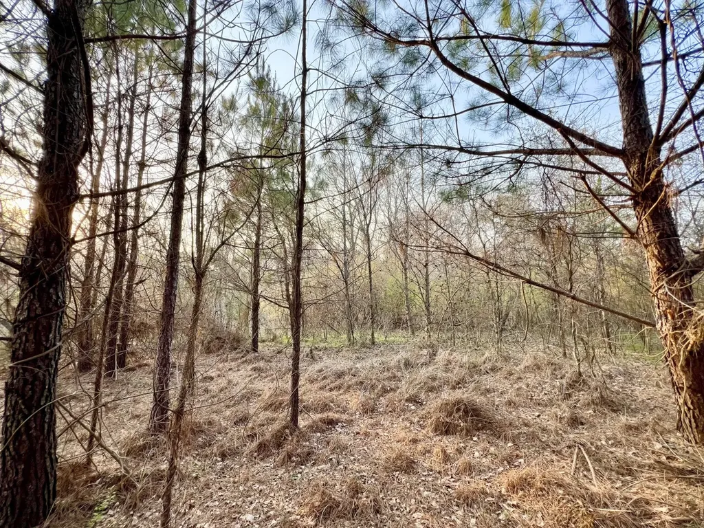 0 Odom Lane Chatom AL 36518