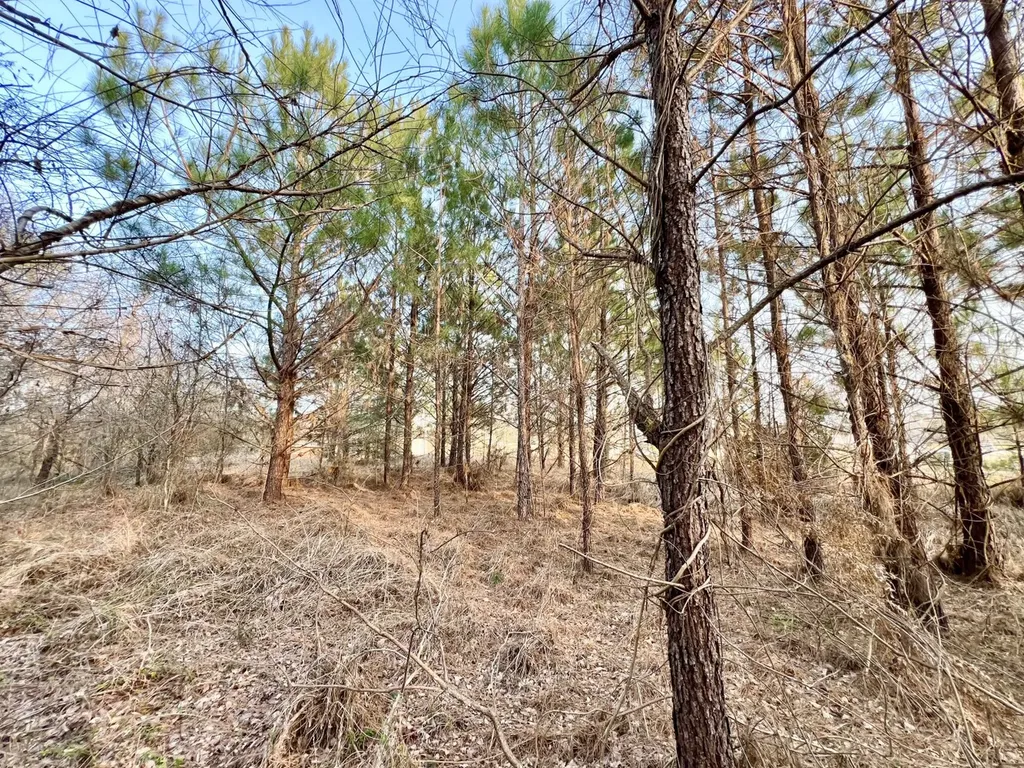 0 Odom Lane Chatom AL 36518