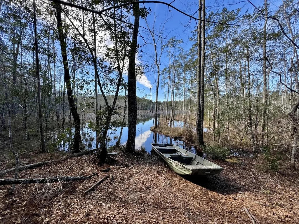 0 John Johnston Road Citronelle AL 36522