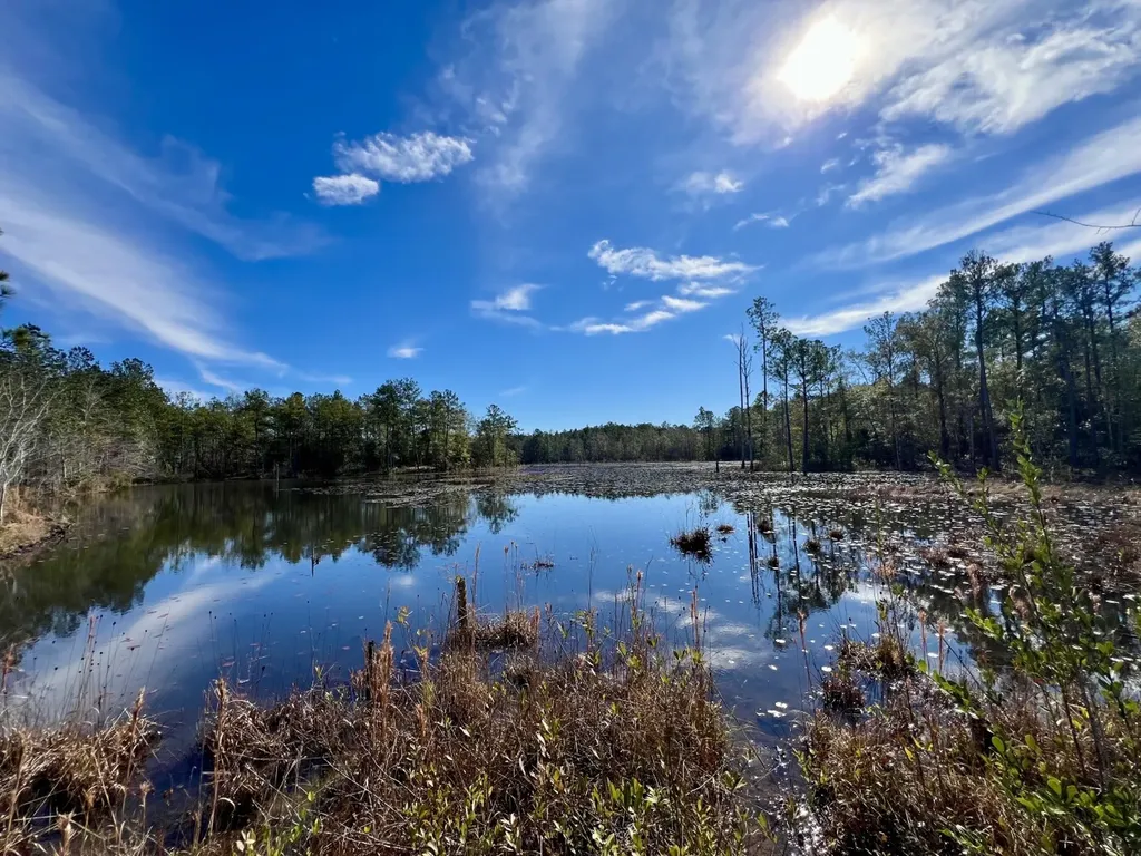 0 John Johnston Road Citronelle AL 36522