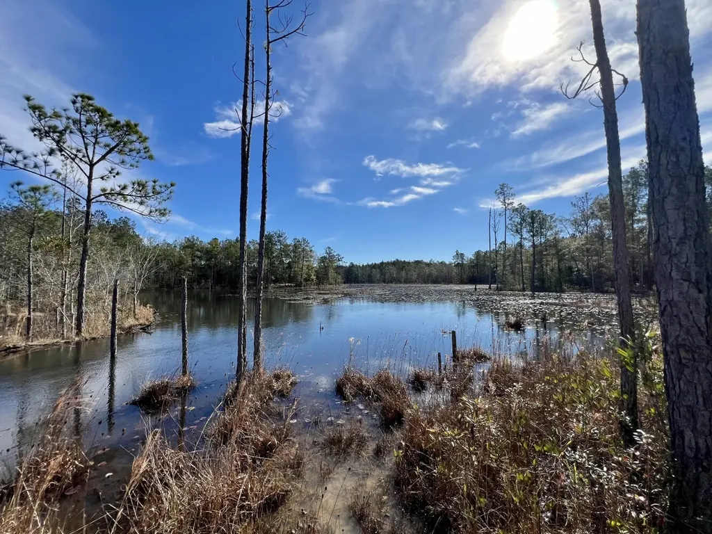 0 John Johnston Road Citronelle AL 36522