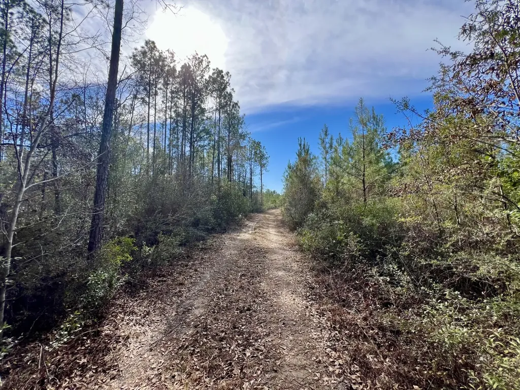 0 John Johnston Road Citronelle AL 36522