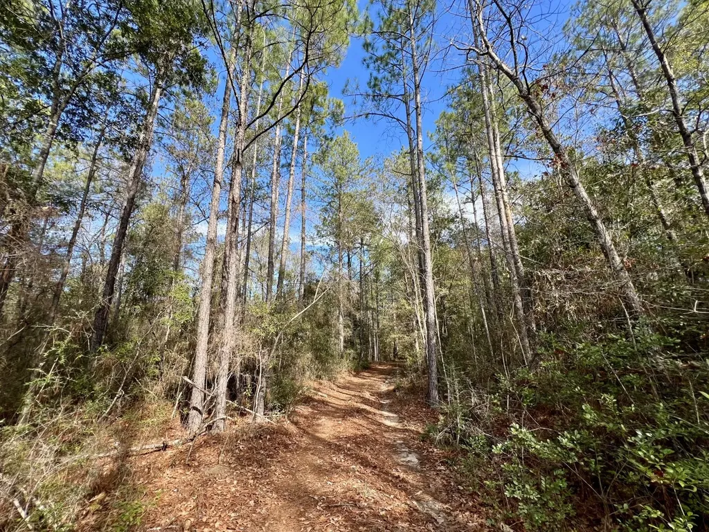 0 John Johnston Road Citronelle AL 36522