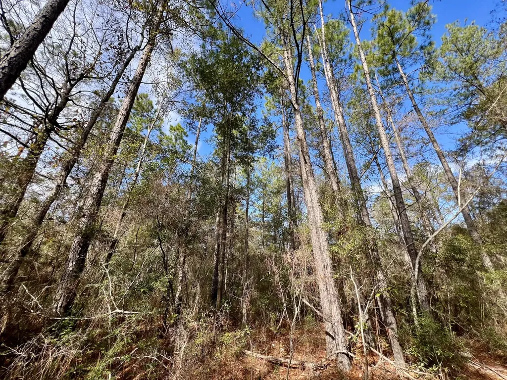 0 John Johnston Road Citronelle AL 36522