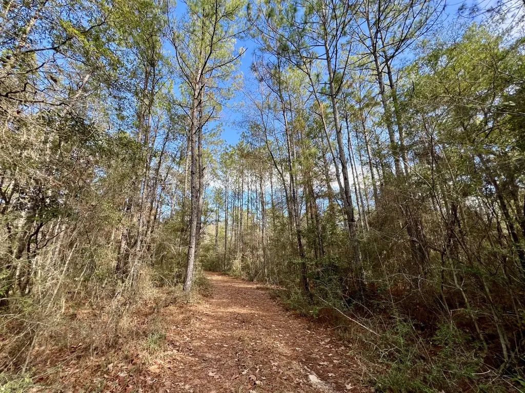 0 John Johnston Road Citronelle AL 36522