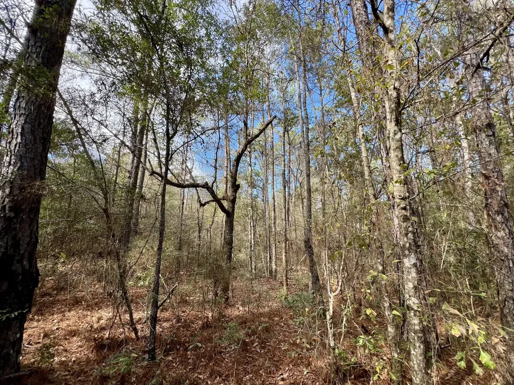 0 John Johnston Road Citronelle AL 36522