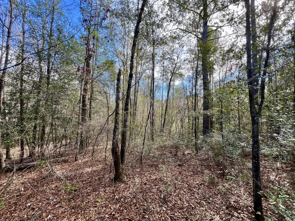 0 John Johnston Road Citronelle AL 36522