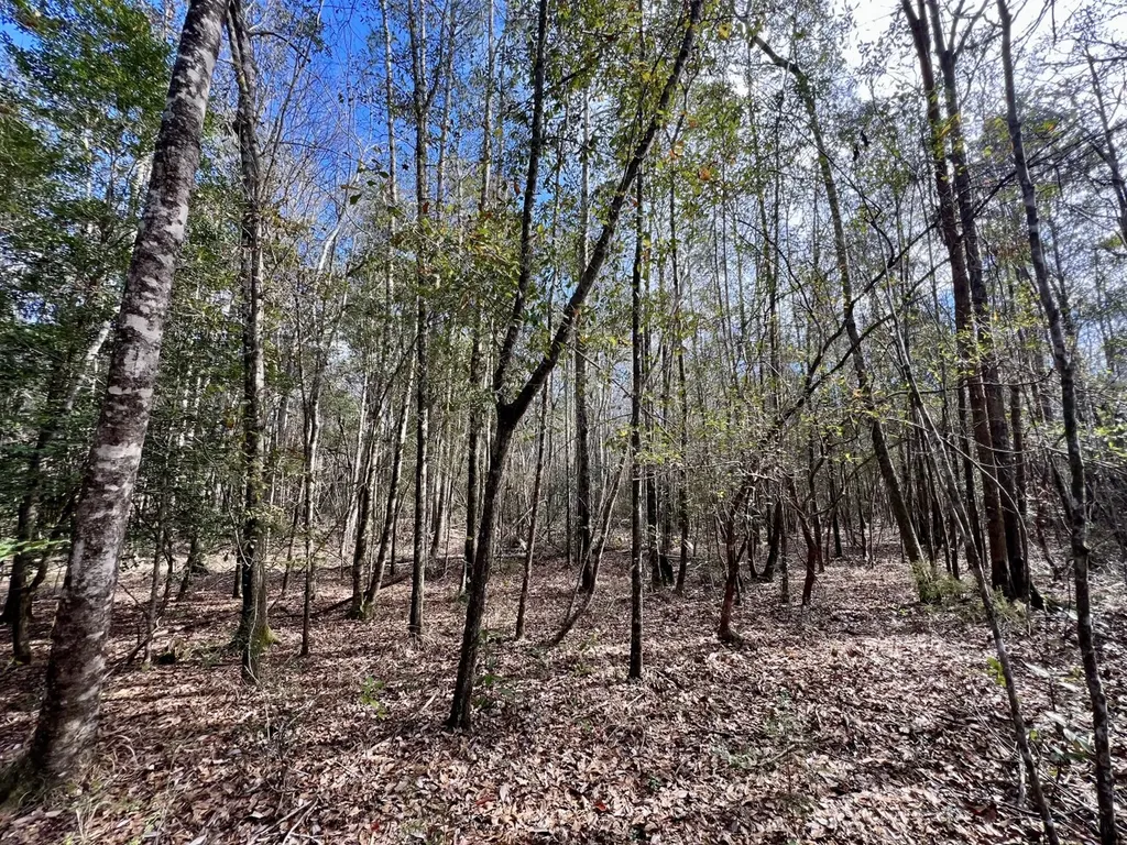 0 John Johnston Road Citronelle AL 36522