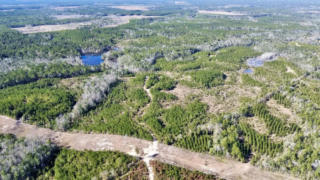 0 John Johnston Road Citronelle AL 36522