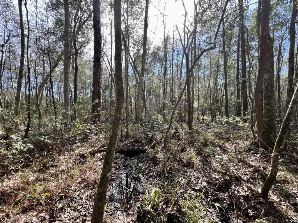 0 John Johnston Road Citronelle AL 36522