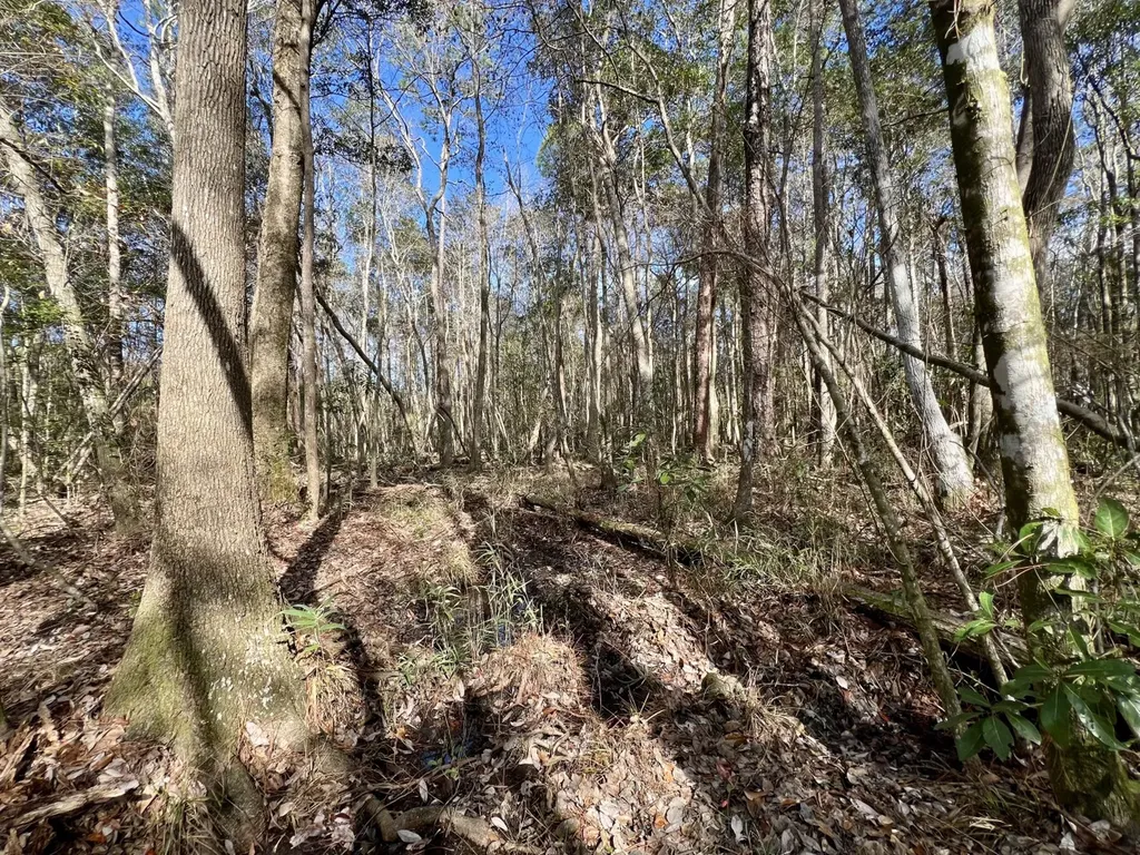 0 John Johnston Road Citronelle AL 36522