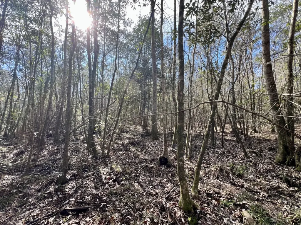 0 John Johnston Road Citronelle AL 36522