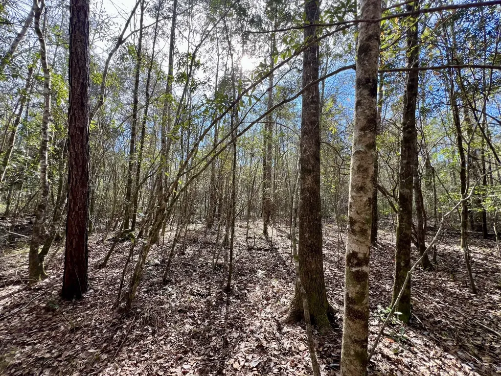 0 John Johnston Road Citronelle AL 36522